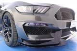 FORD Mustang 5.0 V8 aut. GT Premium Shaker Roush Shelby kit