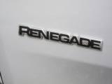 JEEP Renegade 2.0 Mjet 140cv 4WD LIMITED *VENDUTO PROV. SONDRIO*
